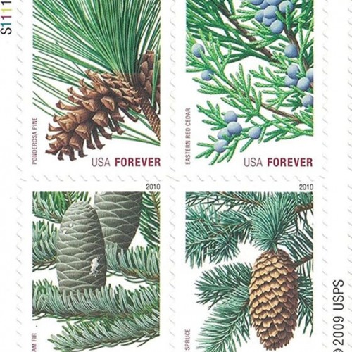 Holiday Evergreens Forever Stamps 2010