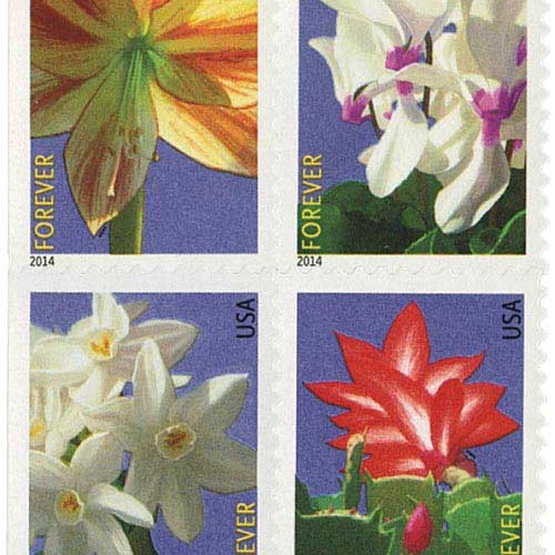 Winter Flowers Stamps 2014