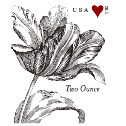 Vintage Tulip Stamp 2015