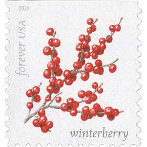 Winter Berries Forever Stamps 2019