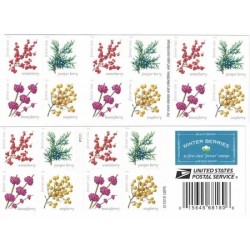 Winter Berries Forever Stamps 2019