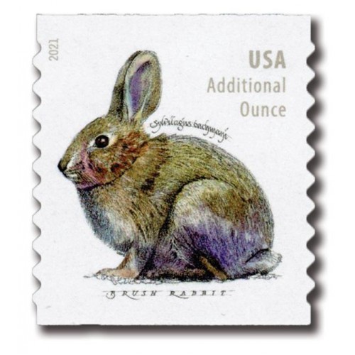 Brush Rabbit Forever Stamps 2021