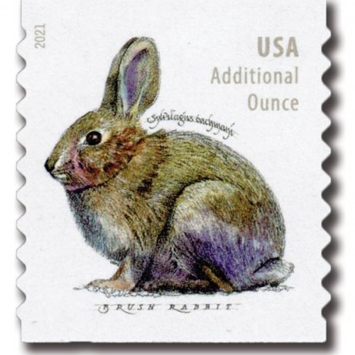 Brush Rabbit Forever Stamps 2021