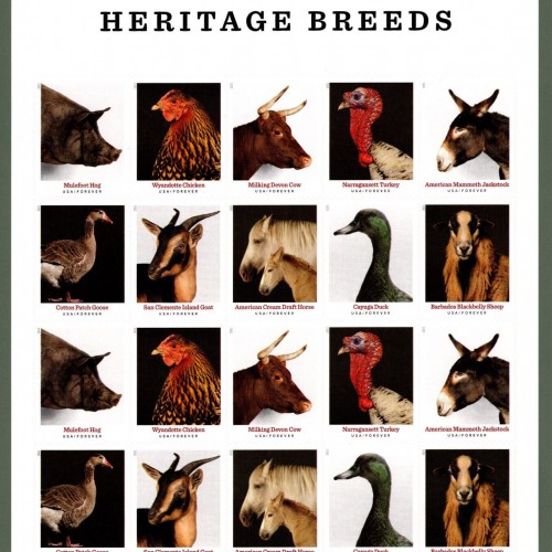 Heritage Breeds Forever Stamps 2021