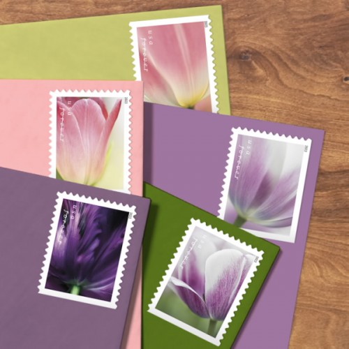 Tulip Blossoms Stamps 2023