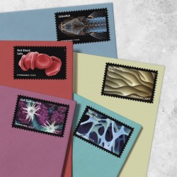 Life Magnified Forever Stamps 2023