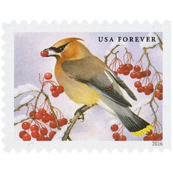 Songbirds in Snow Forever Stamps 2016