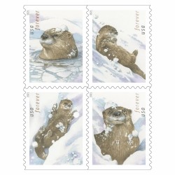 Otters in Snow Stamps 2021