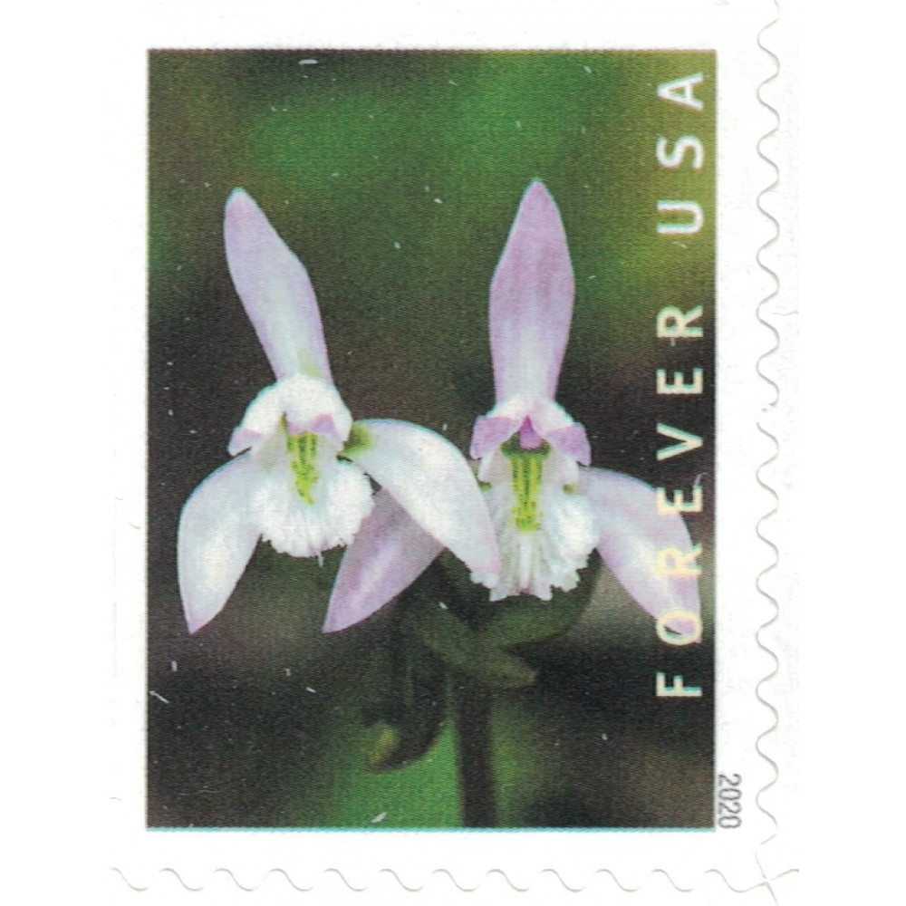 Wild Orchids Forever Stamps 2020