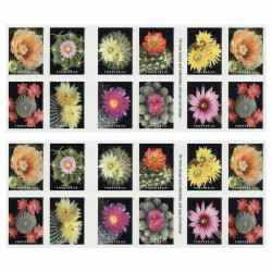 Cactus Flowers Forever Stamps 2019