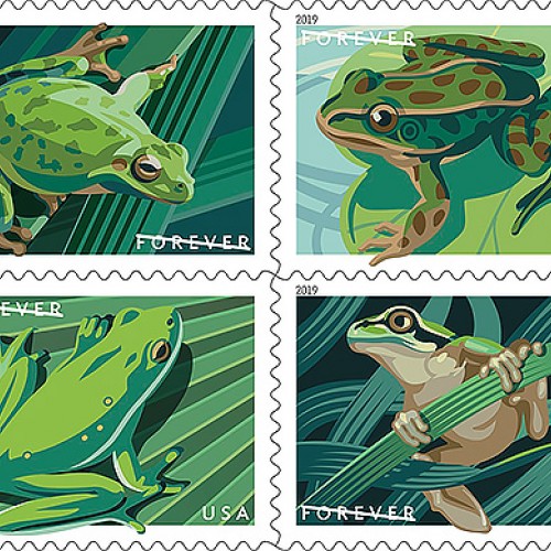 Frogs Leap onto Forever Stamps 2019